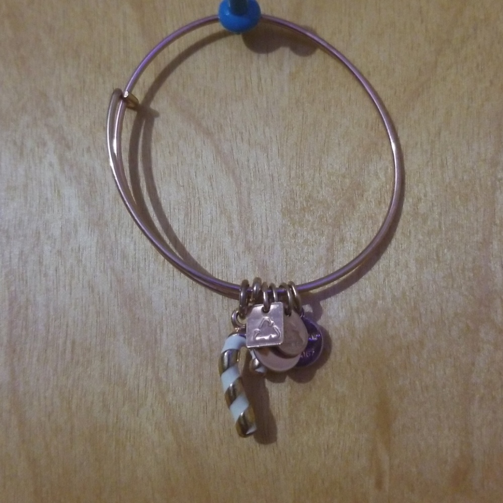 Alex and Ani Candy Cane Bracelet